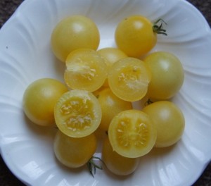 Tomato Snow White Cherry Useful Seeds