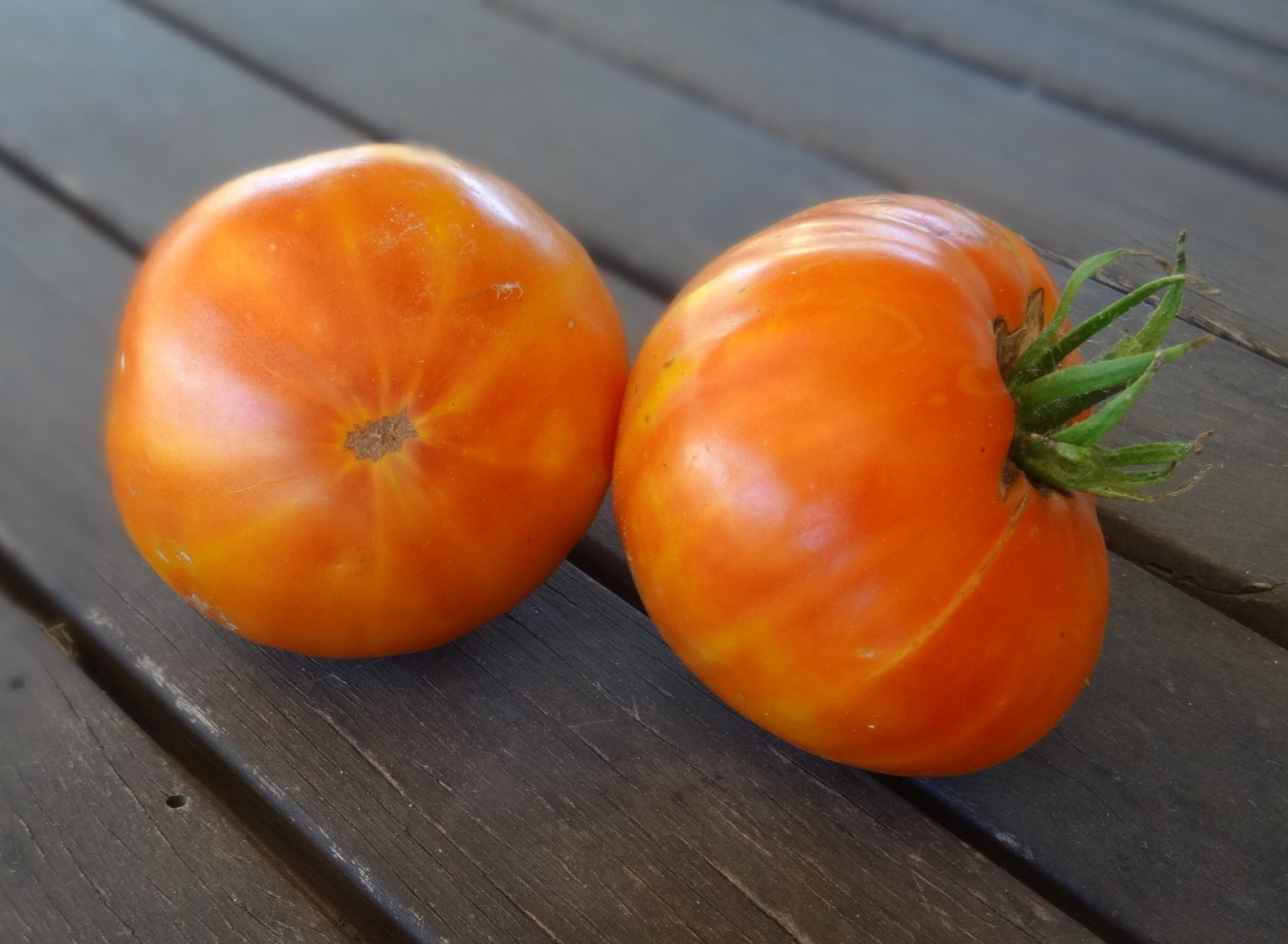 Tomato – Striped German – Useful Seeds